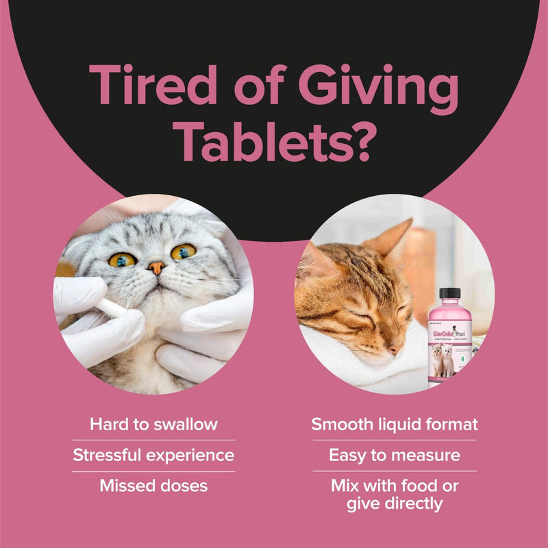 No More Tapeworms in Cats and Kittens- Dewormer for Cats and Dewormer for Kittens - 60mls Chicken Flavour with 3ml Dropper-USA Made Oral Suspension Chicken Flavor-60mls