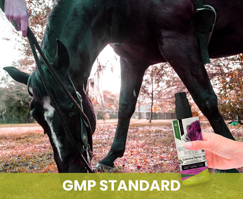 Holistic Natural Derived Calming Pet Spray for Anxiety: Providing Stress Relief: Veterinarian Recommended - Made in USA - 8 oz - PawsPlanet Australia