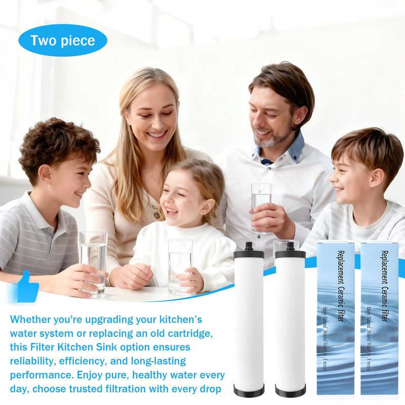 FRC06 Filter Cartridge, Ceramic Water Filter for Franke FRCNSTR Models FRCNSTR100、FRCNSTR-DUO-1、FRCNSTR-DUO-2 Filter Kitchen Sink - 2 PCS