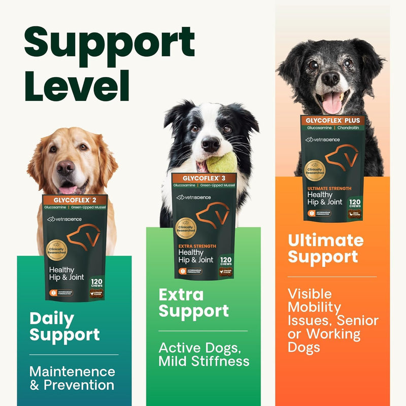VetriScience Healthy Hip & Joint Chews, GlycoFlex Glucosamine and Green-Lipped Mussel Mobility Support Supplement for Dogs, Promote Play and Protect Joints, Chicken, 60 Count