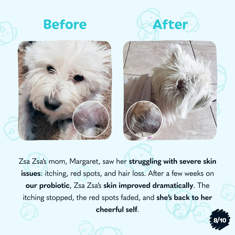 Probiotics for Dogs from Tails 'N' Tummies - Made with Minimal Ingredients to Alleviate Allergies, Diarrhea, Infections, & More - PawsPlanet Australia