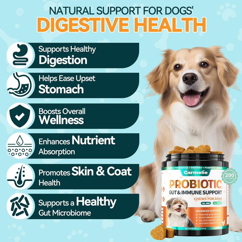 Probiotic & Flea Chews for Dogs - 200 Each - Natural Flea & Tick Prevention with Skin Support + Digestive, Gas & Immune Relief with Pumpkin & Enzymes - Chicken Flavor