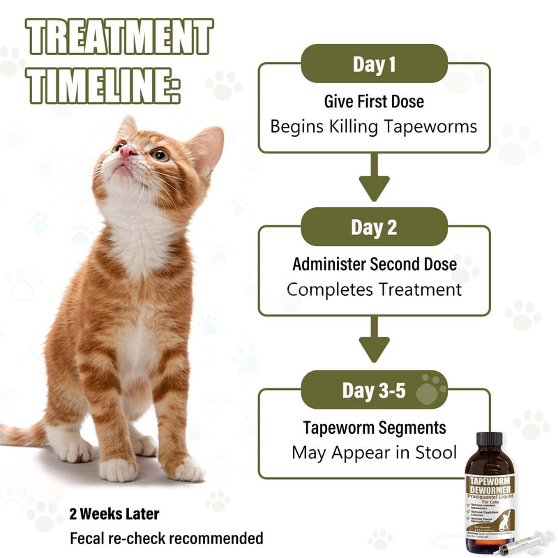 Tapeworm Dewormer for Cats & Kittens – Praziquantel Liquid 100 mL for Cats 6 Weeks & Older, Include 3 ml Dropper with Cap