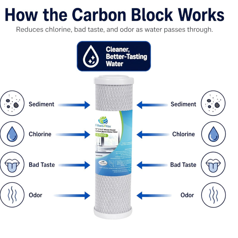 CFS Carbon Block Water Filters for Hoshizaki CTO-10H, HDI-11, 2 Pack