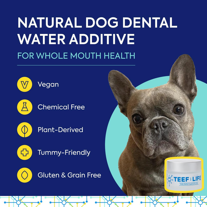 TEEF FOR LIFE Refill Packets Protektin42 Prebiotic Dental Powder for Dogs, Plant-derived, Clinically-Proven Formula Naturally Fights Bad Breath, Plaque, and Tartar, 3 Packets with 90 Servings Refill Packet (90 Servings)