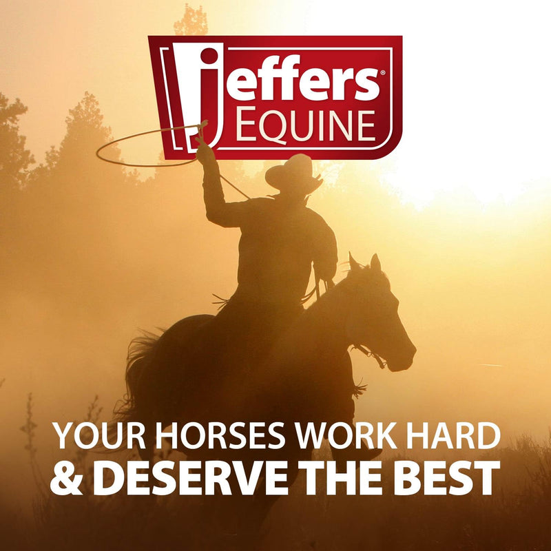 Jeffers Equine Probiotic Oral Gel for Horses, 30 cc Syringe – Supports Healthy Gut, Natural Appetite & Digestion, Horse Supplement w/Prebiotics, Live Microbials (30M CFU), Vitamins A B E, USA Made 1 Pack