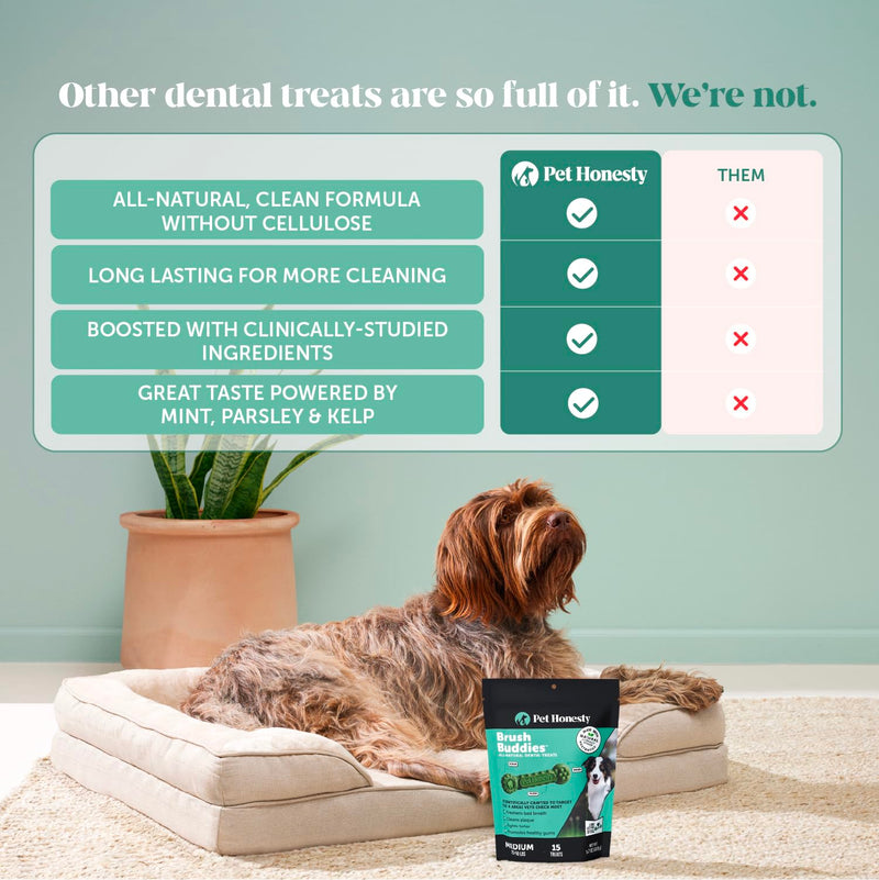 Pet Honesty Brush Buddies All Natural Dog Dental Treats for Dogs – Long Lasting Dental Sticks for Dogs, Teeth Cleaner, Breath Freshener, Plaque & Tartar Remover – Medium Sized Dogs (15 Count) Medium Dog - 15 Count