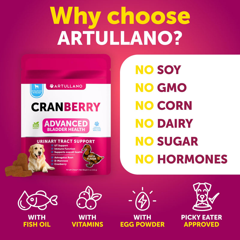 Dog UT Treats - Cranberry Chews for Dogs - Urinary Tract & Bladder Support Supplement with Natural Cranberry Extract - Tasty 70 Soft Bites for Daily Wellness with Fish Oil, Pumpkin, D-Mannose Cranberry Chews - 70 Count