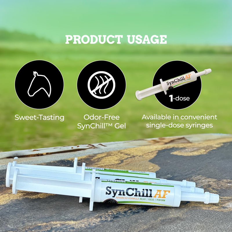SynChill AF Calming Gel for Nervous Horses - Single Serving - Advanced Formula with L-Theanine, Increased Potency, 100% Natural Supplement, Disposition & Confidence Support for Horses - PawsPlanet Australia