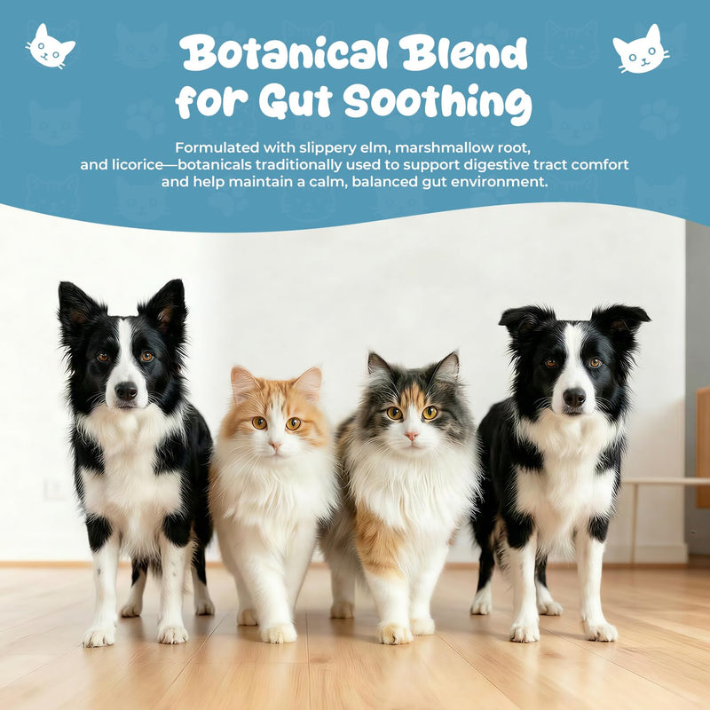 Colon Rescue Digestive Support for Dogs & Cats, Gentle Bowel Balance Liquid Drops with Slippery Elm, Supports Constipation Relief, Digestive Comfort & Stool Eating Deterrent – 2 fl oz (60 mL)