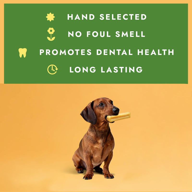 William Hunter Yak Cheese Himalayan Dog Chews - Long Lasting 100% Natural High Protein Dental Dog Chews for Aggressive Chewers (5 Pack Small) 5 Pack Small