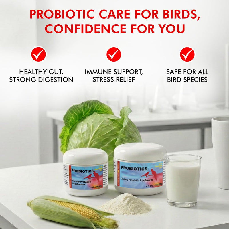 Morning Bird Probiotics for Birds 4.5 oz – Digestive Health Supplement Supporting Gut Balance, Nutrient Absorption, & Immune Support – Easy Mix Powder Supplement for All Bird Species