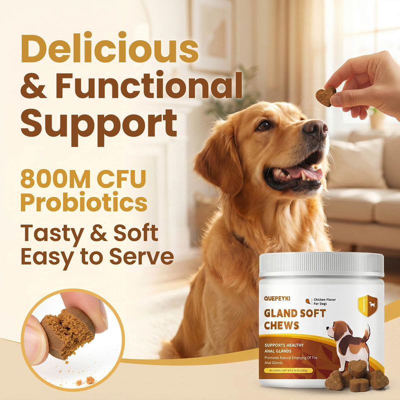 Anal Gland Supplement for Dogs, 800M CFU Probiotics & Fiber Soft Chews with Pumpkin Seed, Psyllium Husk & Inulin for Stool Consistency, Daily Digestive Health Support, Chicken Flavor, 90 Ct