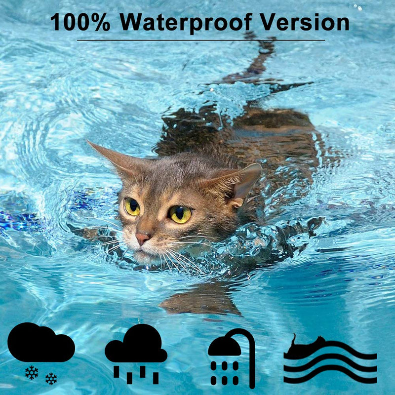 PROZADALAN Upgraded Cat Flea Collar, Cat Control Collar with Natural Essential Oils for 8 Months Protection, Flea & Tick Effectively Treatment, 35cm Adjustable & Waterproof (1pack) 1pack - PawsPlanet Australia