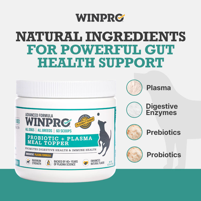 WINPRO Pet Gut Health & Probiotic + Plasma Meal Topper Bundle for Dogs (Plasma Powered Soft Chews and Meal Topper Powder for Digestive Health and Immune Health Support) Gut Health- Meal Topper Bundle