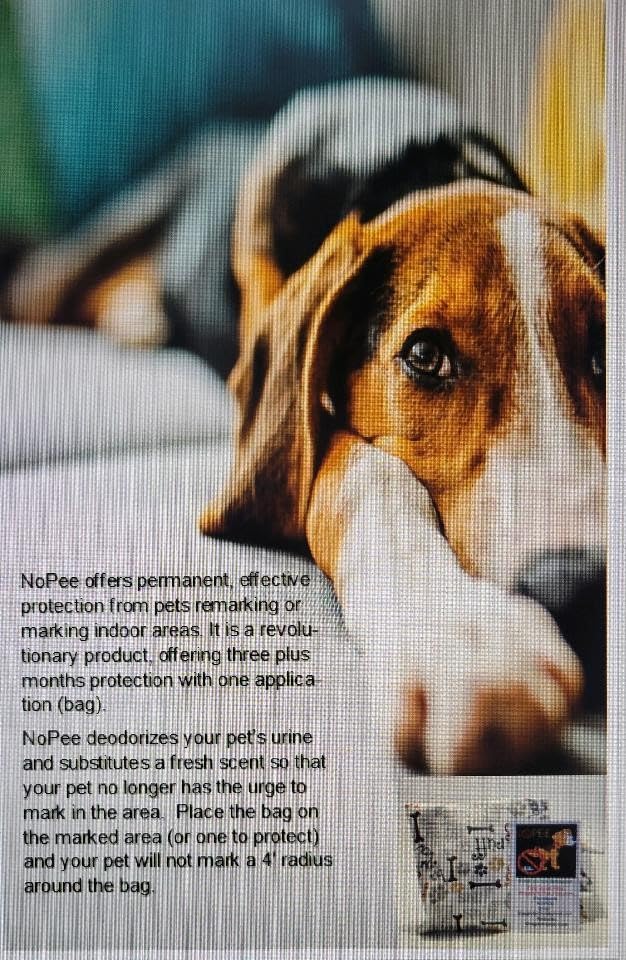 Dog Marking Prevention - Indoor -Permanent - Effective - Stops Dogs from Marking or Peeing - eliminates a pet urge to Mark- Put Bag Down and Your Problem is Solved (White(Rainbow Paws)) - PawsPlanet Australia