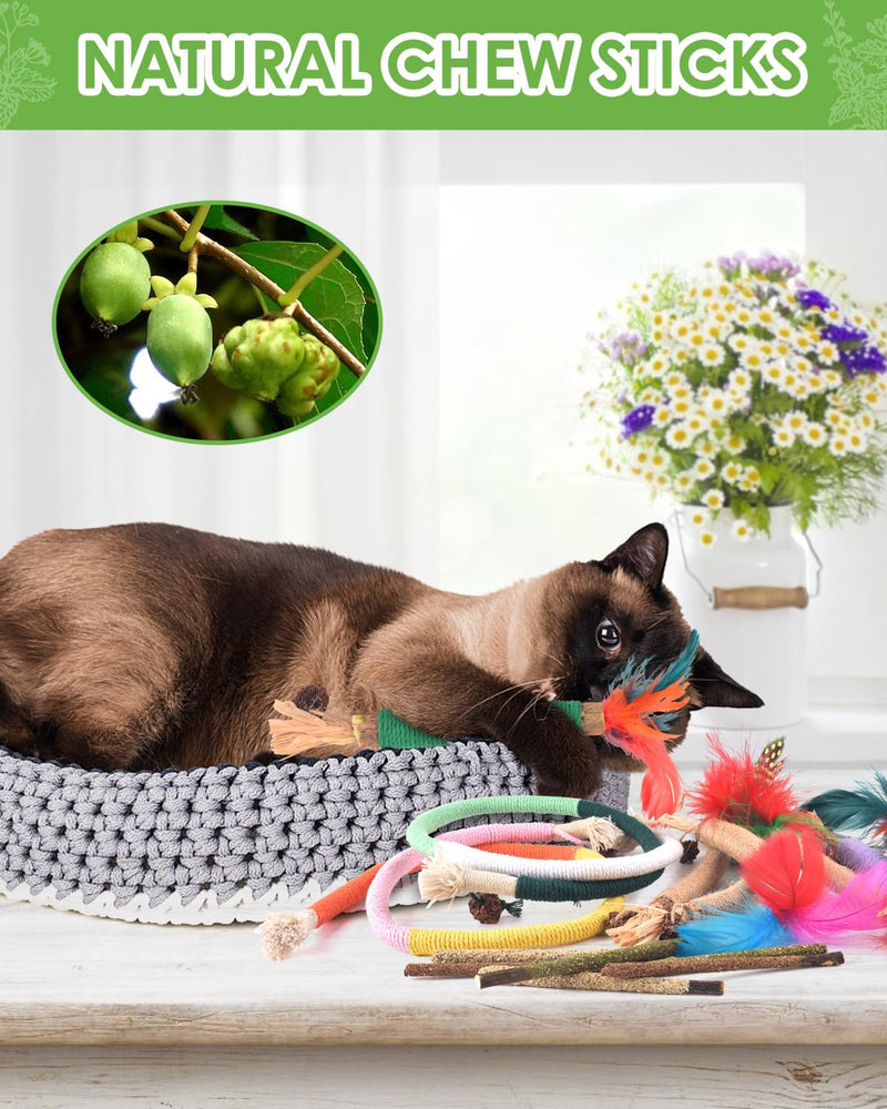 TINDTOP Cat Chew Toys, Silvervine Chew Sticks with 2 Pack Chew Ropes | for Kittens Teeth Cleaning, Increase Appetite, Aggressive Chewers Cat Dental Toy 14 Pack