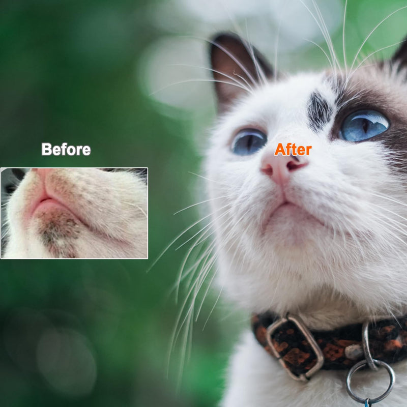JGocot Cat Toothbrush and Cat Acne Brushes