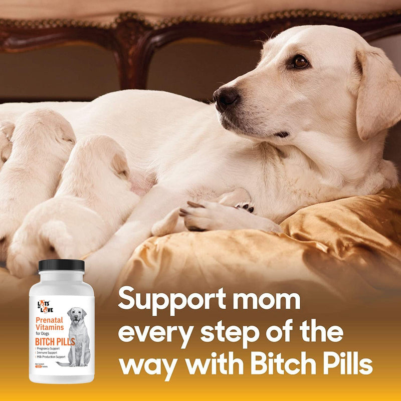 Bitch Pills - Prenatal Vitamins for Dogs (Thomas Pet Earlier) - 120 Tablets - PawsPlanet Australia