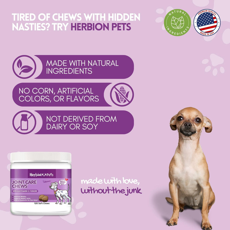 Herbion Pets Joint Care Chews with Glucosamine & Turmeric, 120 Soft Chews, MSM & Chondroitin for Pain Relief, Improves Mobility, Supports Healthy Joints, Made in The USA - for Dogs 12 Weeks+ - PawsPlanet Australia