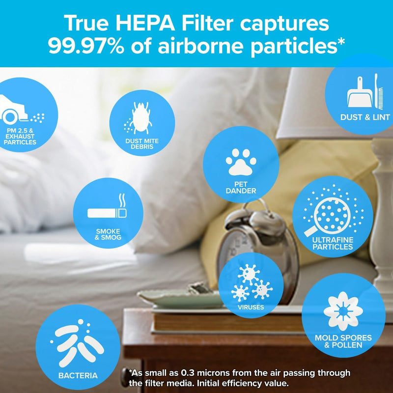 Filtrete F2 Room Air Purifier Filter, 13 in. x 8.2 in., 2-Pack