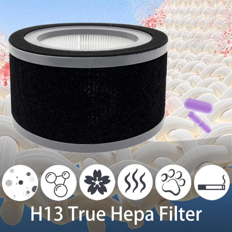 2 Pack FLT4200 Filter for GermGuardian AC4200 and AC4200W Air Purifier