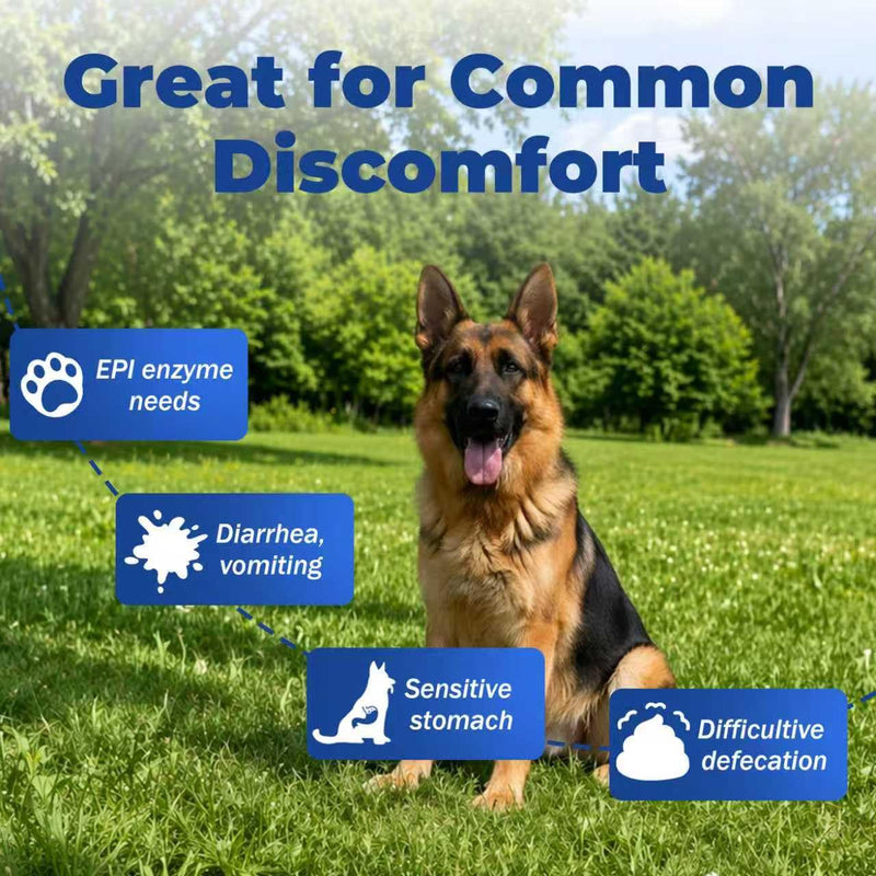 Pancreatic Enzymes for Dogs – 10X Pancreatin Digestive Enzyme Powder – Dog EPI Supplement for Pancreas Support – Helps Restore Weight, Improve Digestion & Relieve GI Stress 120 pieces – Vet Formulated