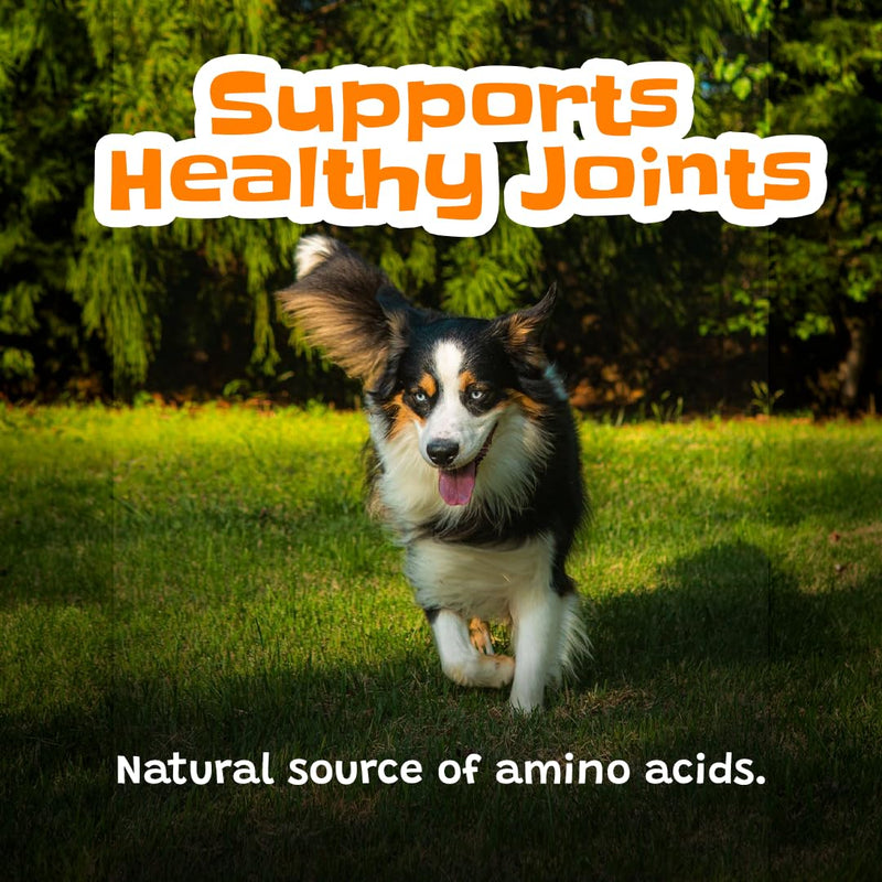 Collagen Sticks for Dogs 6" - 10 Count - Long Lasting Dog Chews, Rawhide Alternative, Single Ingredient, Bully Stick Alternative, Dental Support Treats for Small, Medium & Large Dogs