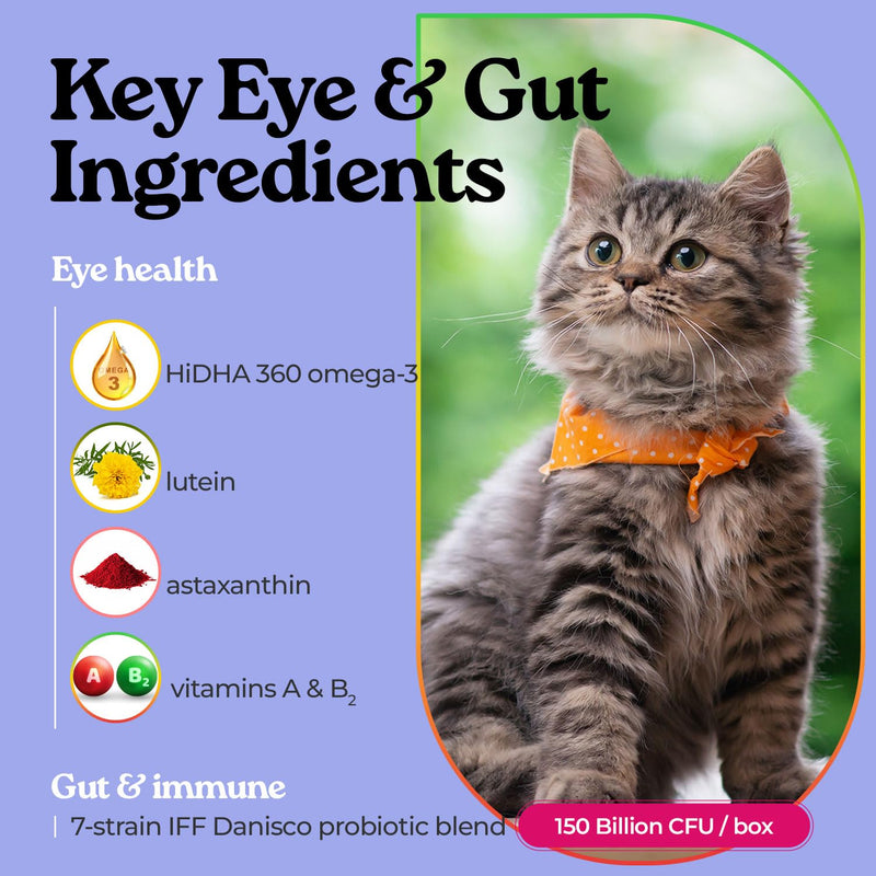 Pawbiotics Eyes – Astaxanthin Lutein DHA Eye Supplement for Dogs & Cats, 7-Strain Probiotic Blend by IFF Danisco, Immune & Eye Support, Korean Pet Supplement, Natural Blueberry Flavor, 30 Sticks
