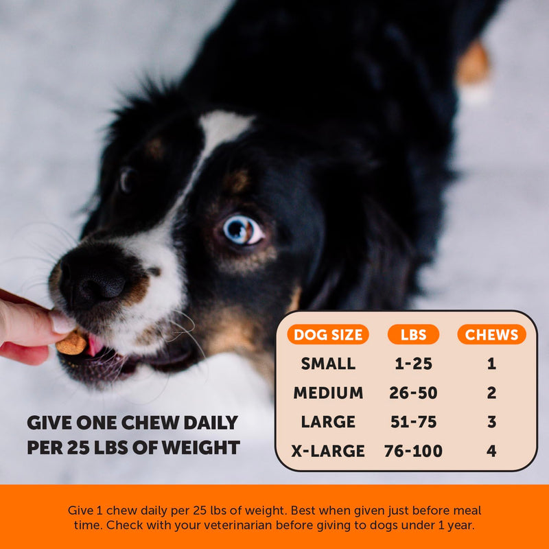 11-in-1 Advanced Hip + Joint Supplement for Dogs - Mobility Support with Glucosamine Chondroitin, Turmeric, & Green Lipped Mussel, MSM - Soothes Joint Stiffness & May Reduce Discomfort (Duck, 90 Ct) Duck - Regular