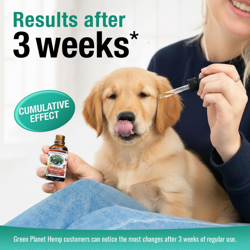 Pet Hemp Oil | Catnip Oil | Dogs and Catsl | Aids with Anxiety, Stress, Pain, Hip, Joint, and Muscle Support for Young to Senior Pets | 120MG Organic Hemp | 100% Natural | Green Planet Hemp