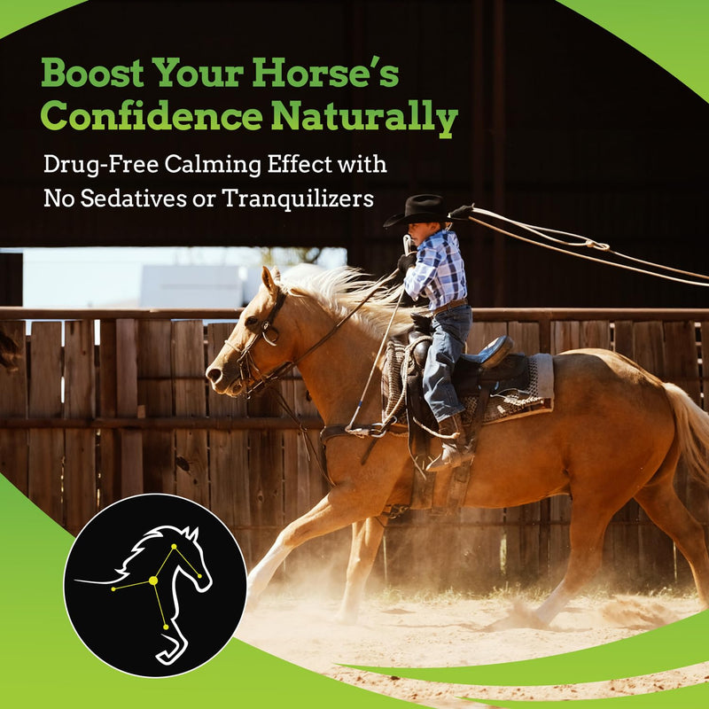 SynChill AF Calming Gel for Nervous Horses - Single Serving - Advanced Formula with L-Theanine, Increased Potency, 100% Natural Supplement, Disposition & Confidence Support for Horses - PawsPlanet Australia