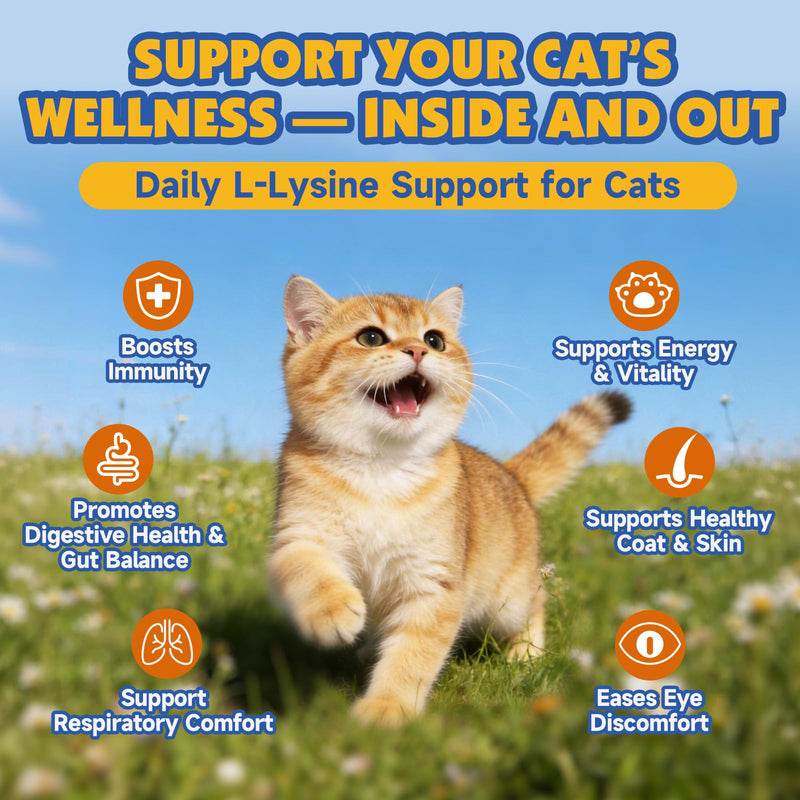 L-Lysine for Cats - Support Immune System, Respiratory & Eye Health - Cat Lysine Paste with Herbal Blends, Taurine, Omega-3, Vitamins - Reduces Sneezing, Runny Nose, Watery Eyes - 60ML, Chicken Flavor
