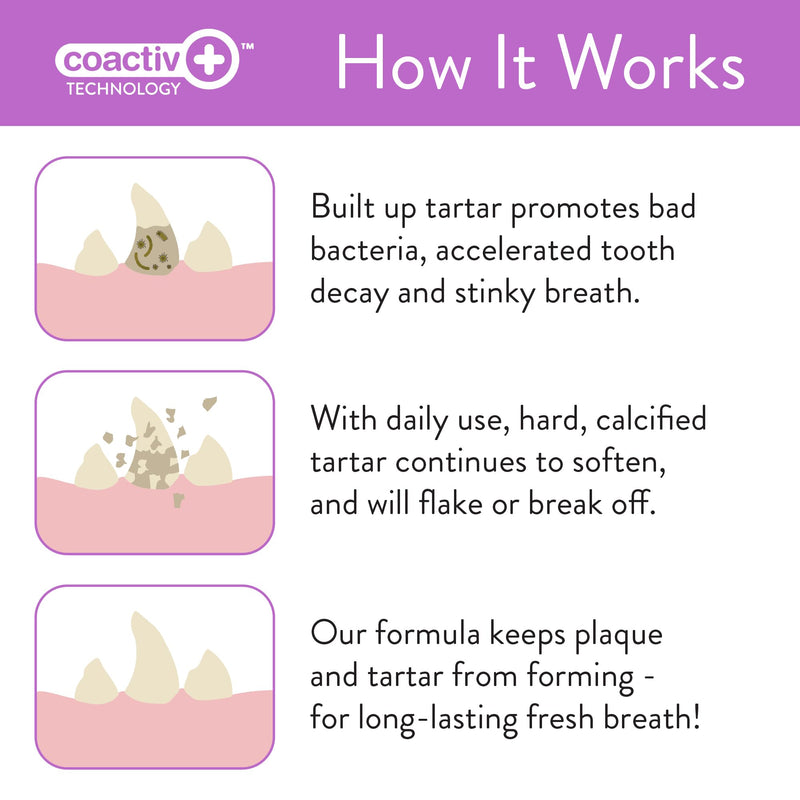 SKOUT'S HONOR Pet Dental Wipes - Fights Plaque and Tartar, Freshens Breath Fast, No Brushing Required, 50 Sheets Dental Wipes- Flavorless - PawsPlanet Australia
