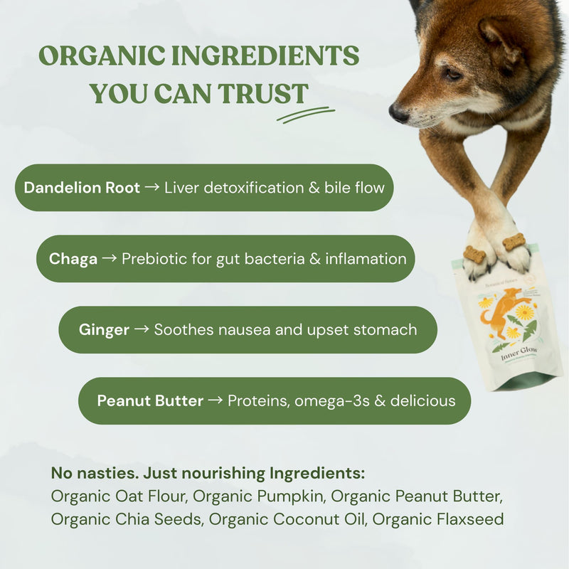 Inner Glow Digestive Dog Treats - Gut Health Support with Prebiotics, Dandelion & Chaga - Vet Formulated for Diarrhea Relief & Immune Support - Organic, Vegan, 2-Pack Inner Glow 4 Ounce (Pack of 2)