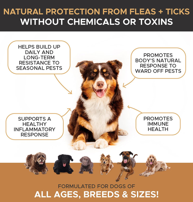 PetHonesty Flea & Tick Defense Supplement - Natural Flea and Tick Soft Chew for Dogs, Pest Defense to Promote Body's Natural Response, Oral Flea Pills for Dogs - 90 ct - PawsPlanet Australia