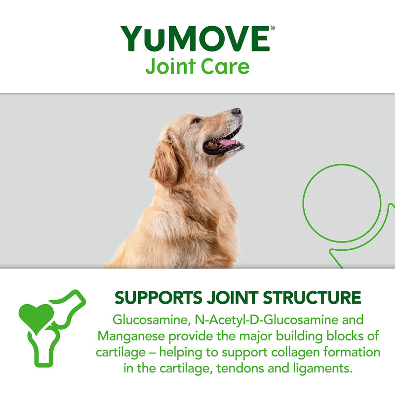 Lintbells YuMOVE Daily Bites For Senior Dogs | High Strength Hip and Joint Supplement Designed for Older, Stiff Dogs, with Glucosamine, Chondroitin, Green Lipped Mussel | Aged 9+ | 60 Chews, White 60 count - PawsPlanet Australia