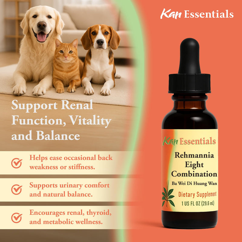 Kan Herb Company Rehmannia Eight Combination – Traditional Chinese Herbal Blend for Dogs and Cats to Support Kidney Health, Vitality, and Hormonal Balance, Liquid Herbal Supplement for Pets, 1 fl oz 1 Fl Oz (Pack of 1)