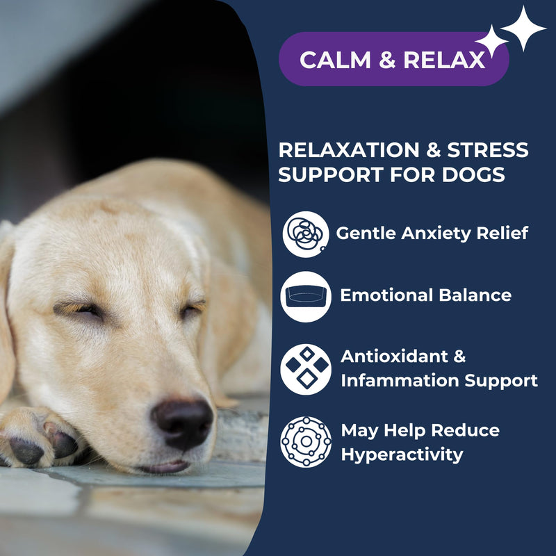 Calm & Relax Soft Chew Supplements for Dogs - Reduce Stress & Anxiety, Behavioral Support, Promote Rest & Relaxation for Active Dogs Calm & Relax - PawsPlanet Australia
