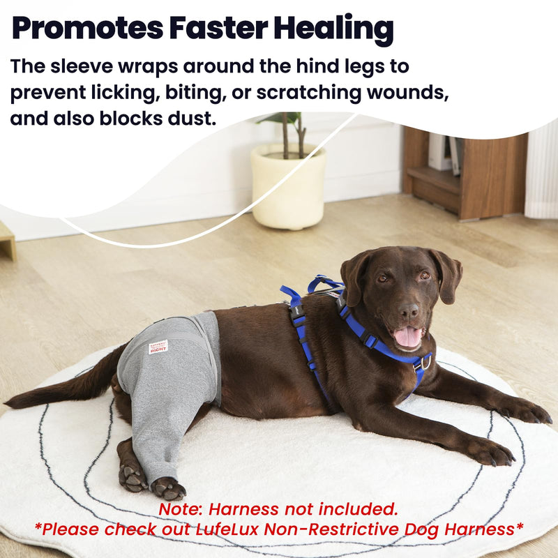 Dog Leg Sleeve for Stop Licking & Post-Surgery Recovery | Protects Injured Rear Legs from Excessive Licking & Scratching | Cone Alternative with Breathable Fabric | Easy to Use (Grey, X-Small) Grey