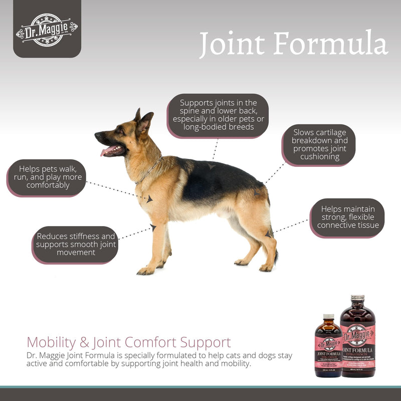 Dr. Maggie Joint Formula for Dogs and Cats with MSM, Glucosamine, and Chondroitin | 240 ml