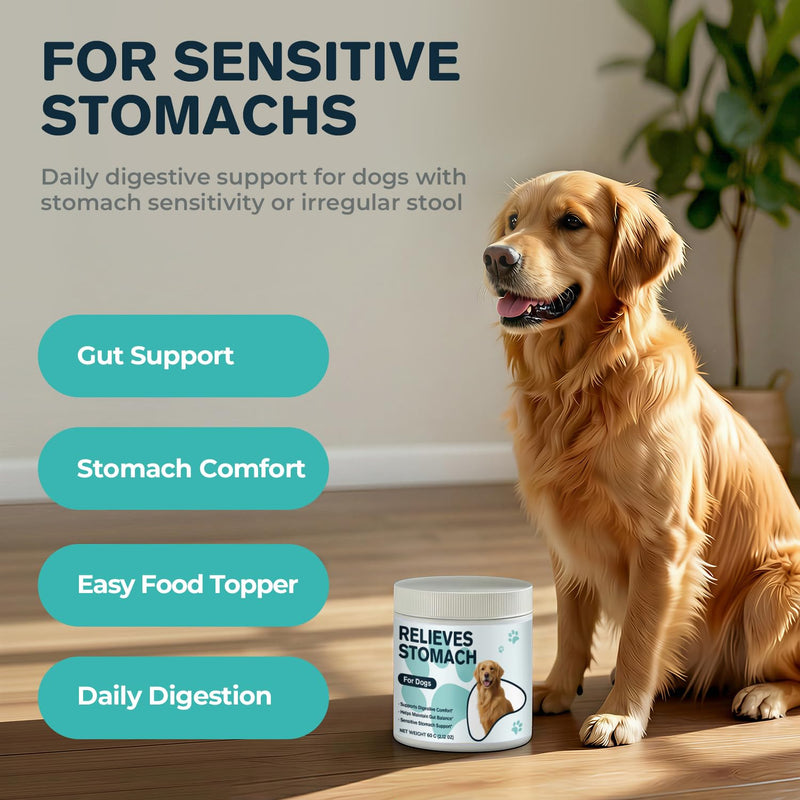 Dog Upset Stomach Relief, Sensitive Stomach Support & Constipation Relief for Dogs, Gut Balance Powder with Pumpkin & Ginger, Easy-to-Mix Digestive Comfort Supplement, 60 g