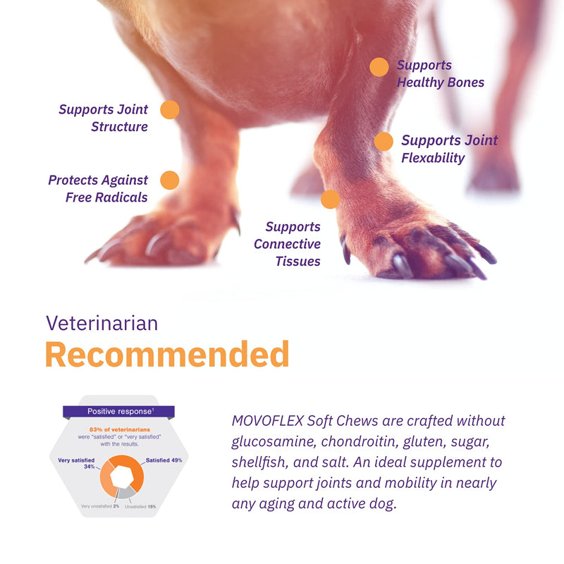 MOVOFLEX Joint Support Soft Chews for Small, Medium and Large Dogs 1 Pack (60 count) - PawsPlanet Australia