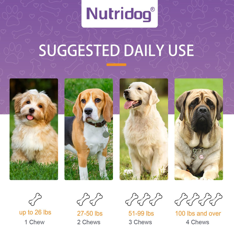 Dog Probiotic Chews 120 Count – 6 Billion CFU, 6 Strains + EpiCor Postbiotics & Pumpkin Fiber for Gut Health, Allergy & Yeast Support, Immune Boost, Duck Flavor, All Breeds