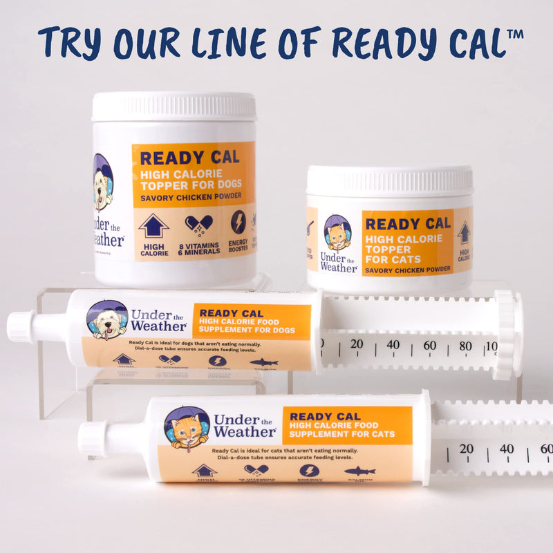 Ready Cal Powder for Cats | High-Calorie, Weight Gainer, Appetite Stimulant, Energy Booster Pet Suppliment | 20 Scoops (Scoop Included) For Cats - Ready Cal Powder - PawsPlanet Australia