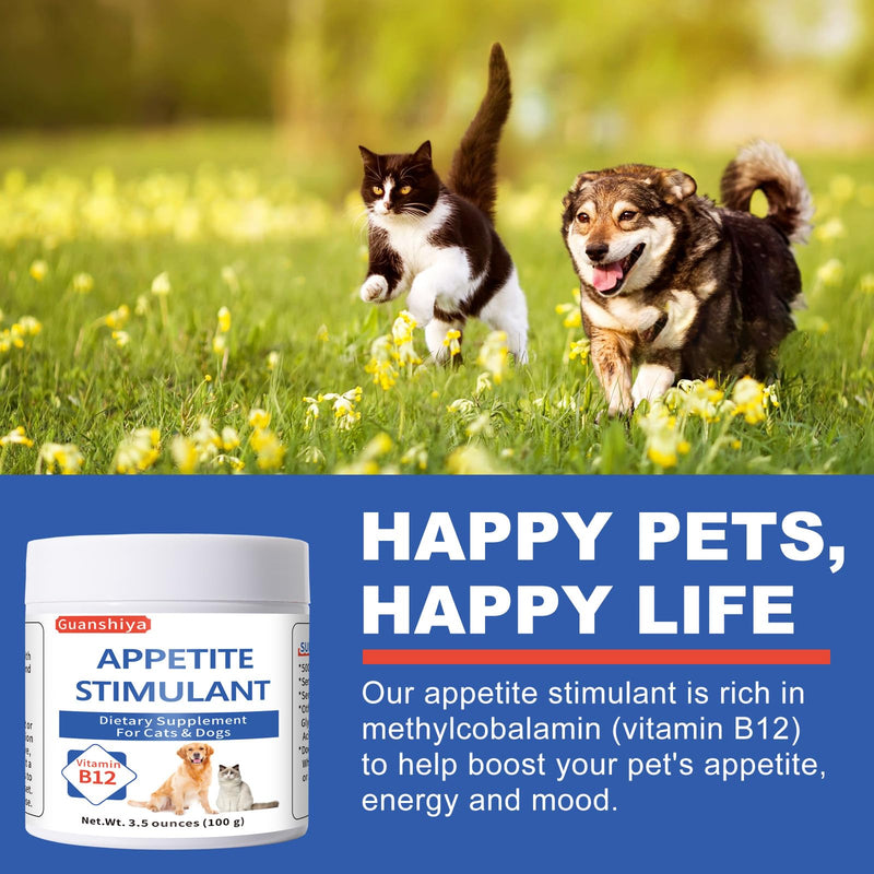 Appetite Stimulant for Dogs & Cats - Vitamin B12 (Methylcobalamin) Powder - Boosts Appetite, Energy, and Mood - 3.5 oz