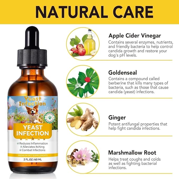 Natural Yeast Infection Treatment for Dogs, Support Healthy Itch Relief, Ear Paw Discomfort Care, Itch Relief for Dog, Inflammation Relief for Dogs, 60ml