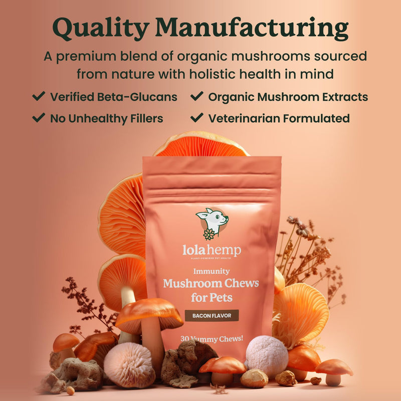 Lolahemp Mushroom Supplement for Dogs - Tasty Chews with Organic Mushroom Complex for Immune System & Cognitive Health - Turkey Tail, Reishi, Shiitake, Maitake & Lion's Mane - PawsPlanet Australia