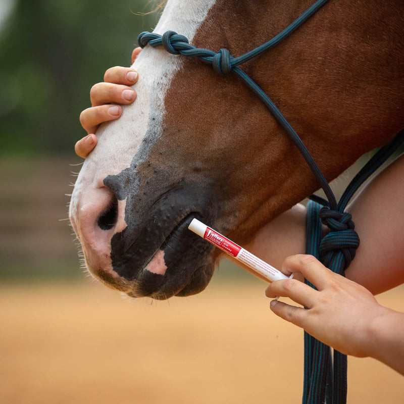 Jeffers Ivermectin Horse Dewormer, Single Dose, Apple Flavored, 1.87% Broad Spectrum Dewormer Paste