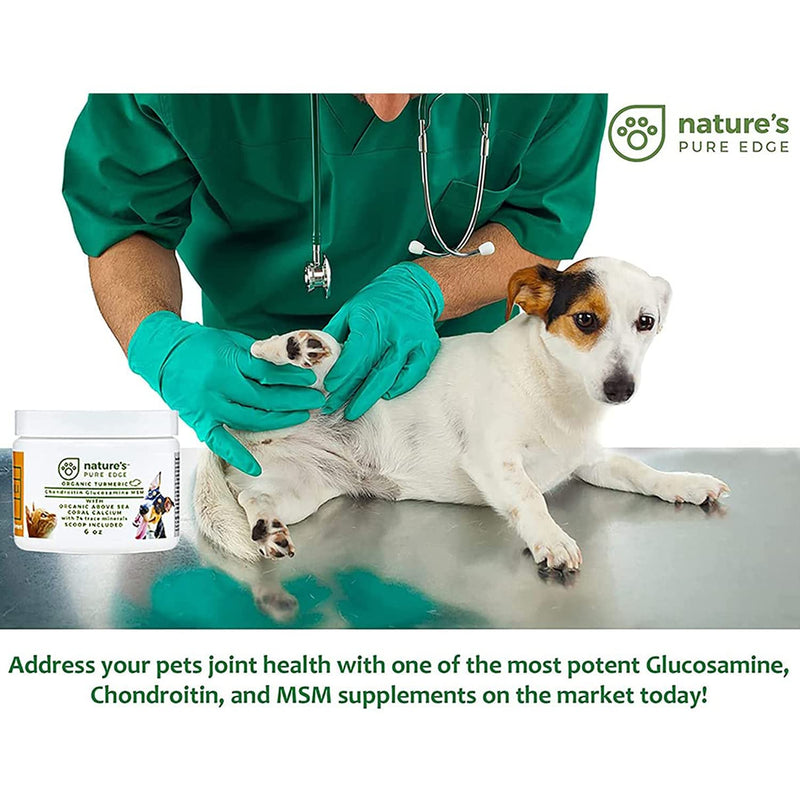 Powerful PET Hip & Joint - with Organic Turmeric - Natural Ingredients - Triple Strength - Chondroitin - Glucosamine - MSM - Organic Sea Coral Calcium. Extra Large 170 Grams. - PawsPlanet Australia